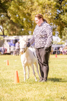 _AJG2015