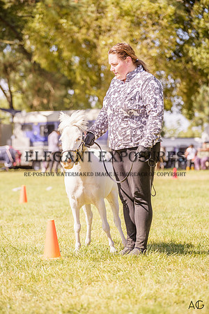 _AJG2015