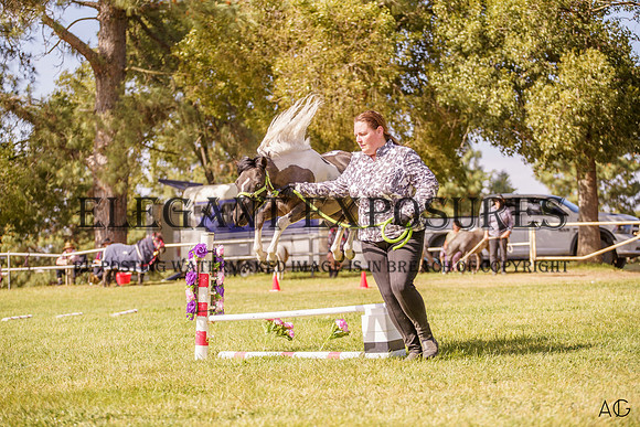 _AJG2095