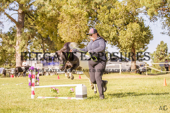 _AJG2304