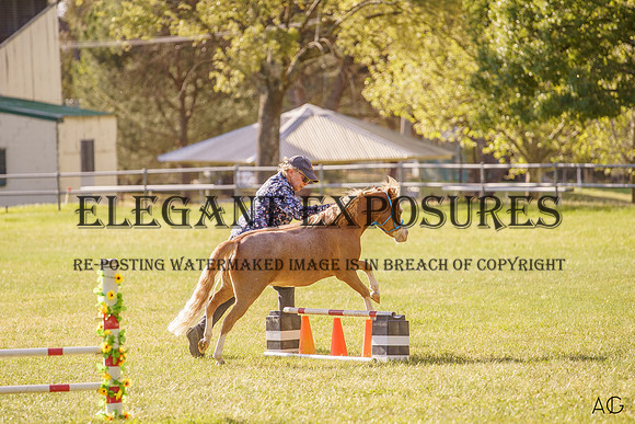 _AJG2463
