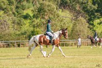_AJG4653