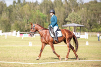 OLS_1071