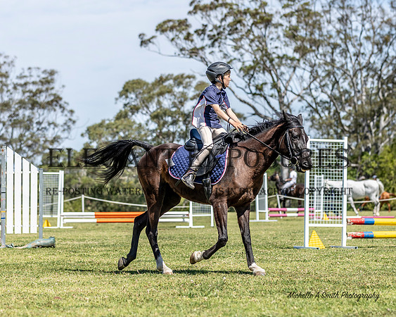 MAS_7606