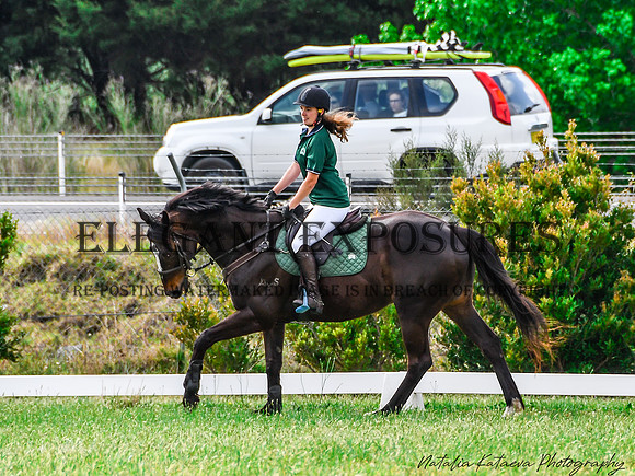 NYK_0195