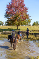 BHT - Sandy Lucas Clinic Group 3 - 25.04.2024