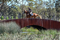 WP - Cross Country - 4 Star - 8.10.2023
