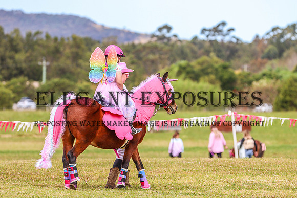 KMS-1037