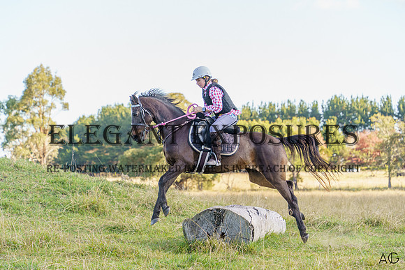 _AJG3531