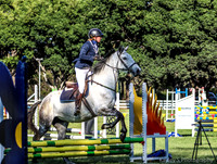 Nowra SJ - Ring 2 - 50/60cm 14.10.2023