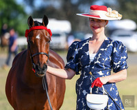 CSS - Show Horse - Fashions on the Field - 14.10.2023
