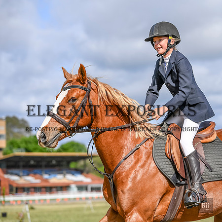 RII_0350