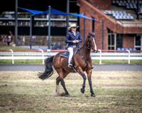 CSS - Show Horses - 10:30am - 12:30pm - 14.10.2023