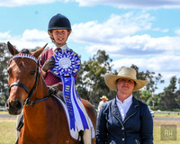 CSS - Show Horse - Pony Club Events - 14.10.2023