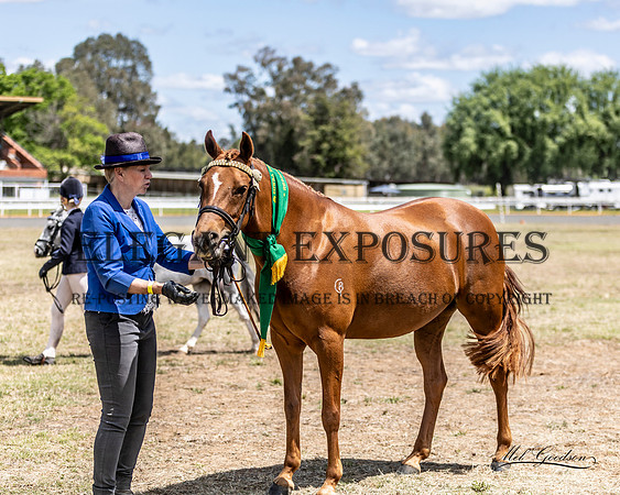 MKG_0616