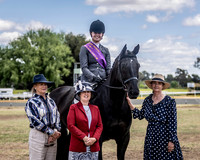 CSS - Show Horses - 12:30pm - 2:30pm 14.10.2023