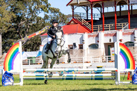 Nowra SJ - Ring 2 - 70/80cm 15.10.2023