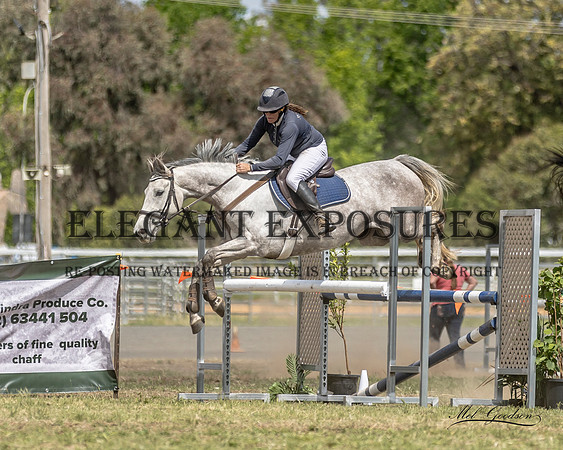 MKG_1329