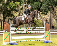 Nowra SJ - Ring 1 - 1.35m 14.10.2023