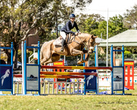 Nowra SJ - Ring 1 - 1.05m 15.10.2023