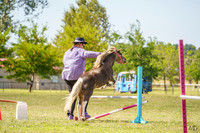 _AJG5249