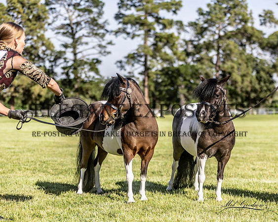MKG_2073