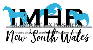 IMHR NSW