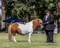 MKG_2337