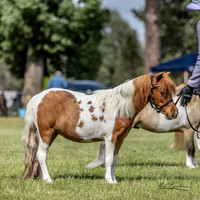 MKG_2342
