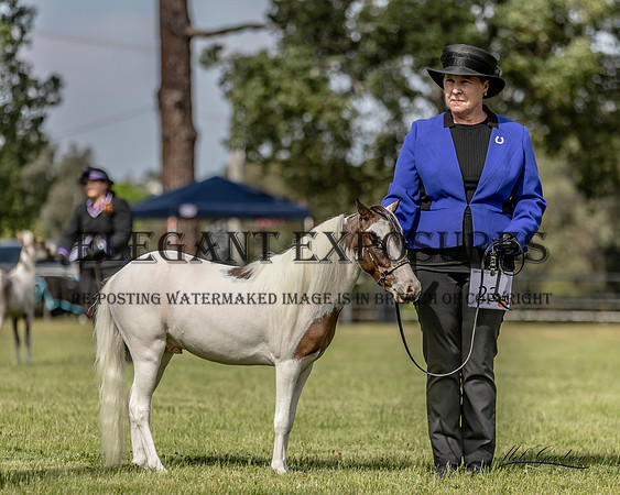 MKG_2422