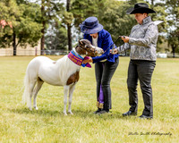 MAS_0091