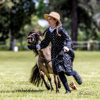 IMHR Halloween - Small Horses - 21.10.2023