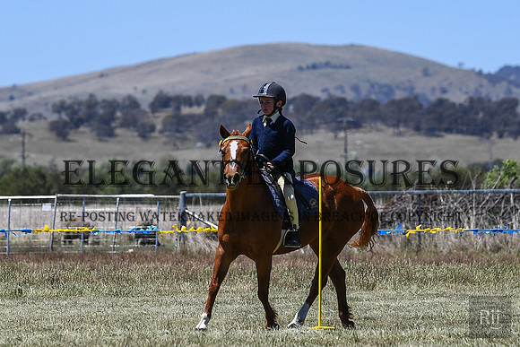 RII_4272