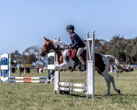 Bungendore Show - SJ - 45cm - 22.10.2023