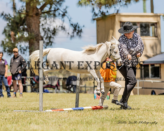 MAS_2487