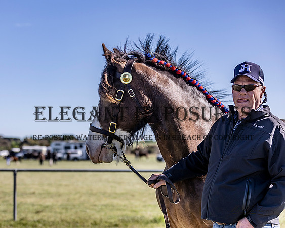 MKG_3548