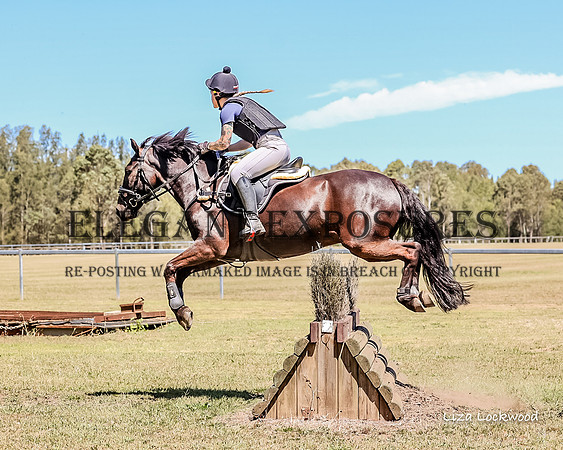 LHL(MS)-8096