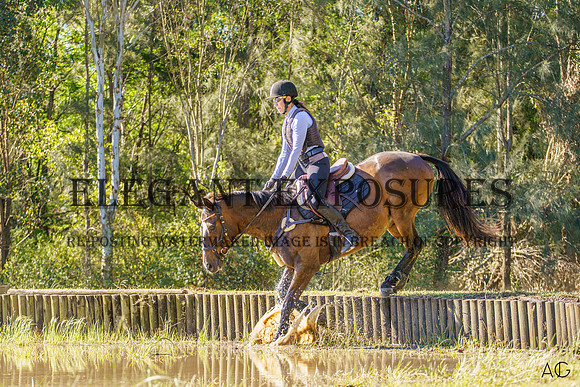 _AJG1619