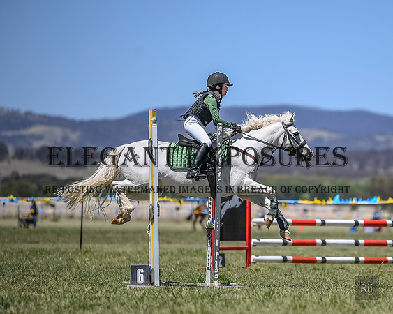 RII_4568