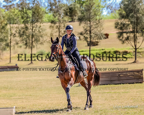 LHL(MS)-8665