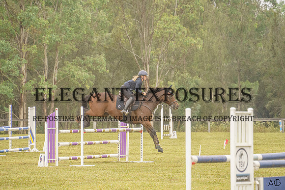 _AJG6913