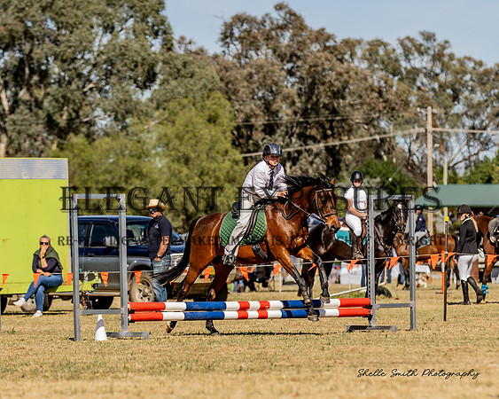 MAS_3575