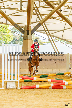 _AJG2012