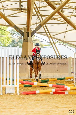 _AJG2013