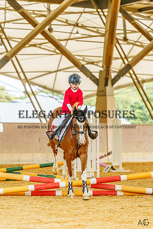 _AJG2014