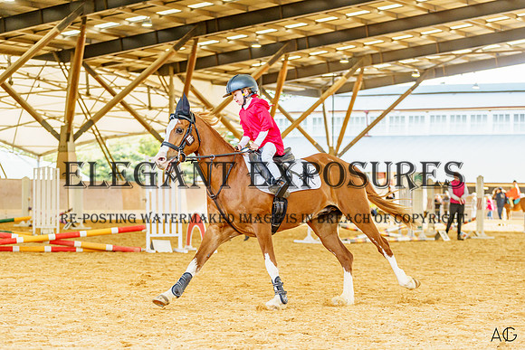 _AJG2029