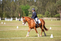 OLS_1205