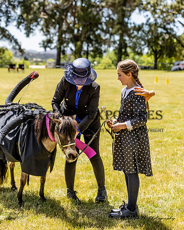 MAS_2432