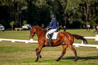 OLS_2579