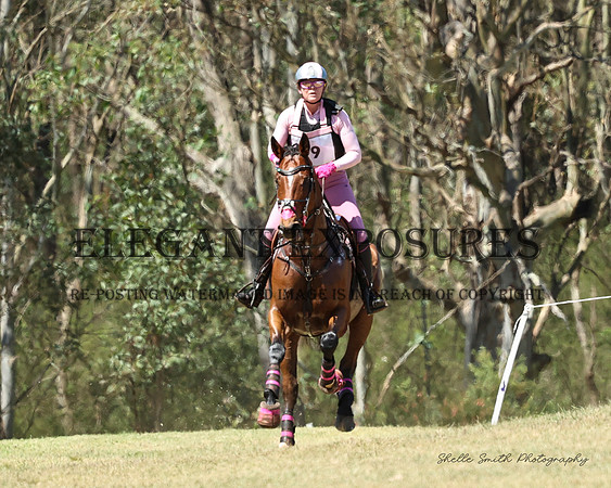MAS_5462